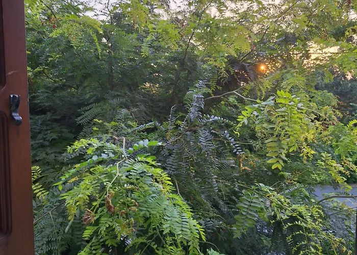 Hotel familiare: Hotel Livio